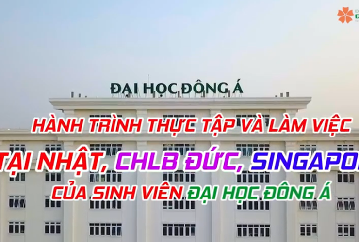 Hành trình Thực tập & Làm việc tại Nhật Bản, CHLB Đức, Singapore của Sinh viên Đại học Đông Á